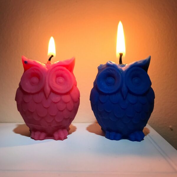 owl candles