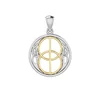 Chalice Well Sterling Silver with Gold Accent Pendant