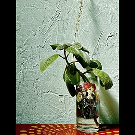 Sanderson Sisters Hocus Pocus Propagation Vessel with Mystery Propagation